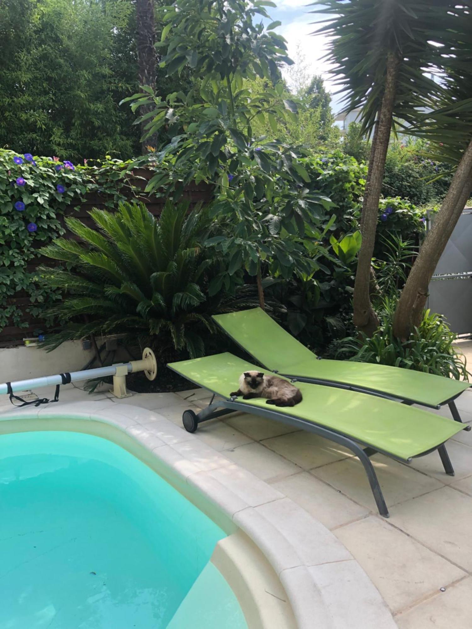 Villa Beausejour Cannes Exterior foto